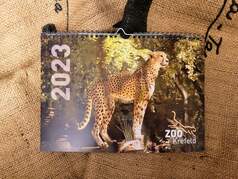 Zoo-Kalender 2023